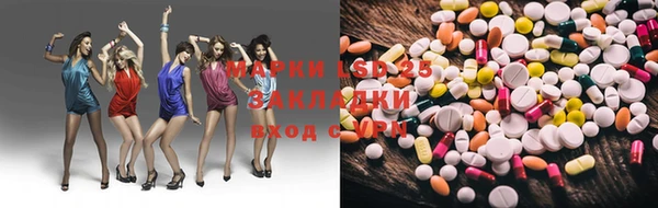 шишки Абаза
