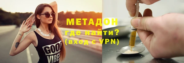 шишки Абаза