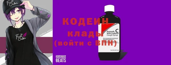 шишки Абаза