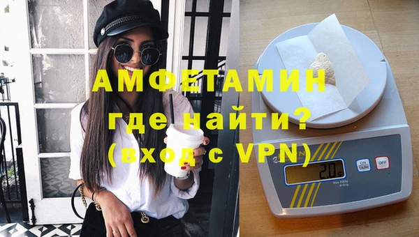 шишки Абаза