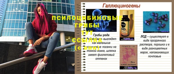 спайс Алексеевка