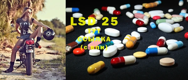 ECSTASY Алзамай