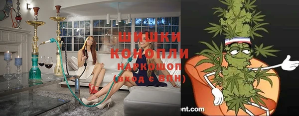 твердый Алексин