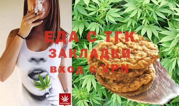 шишки Абаза