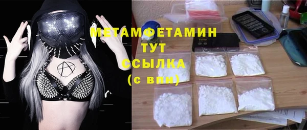 шишки Абаза